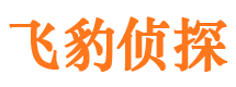 泊头外遇调查取证